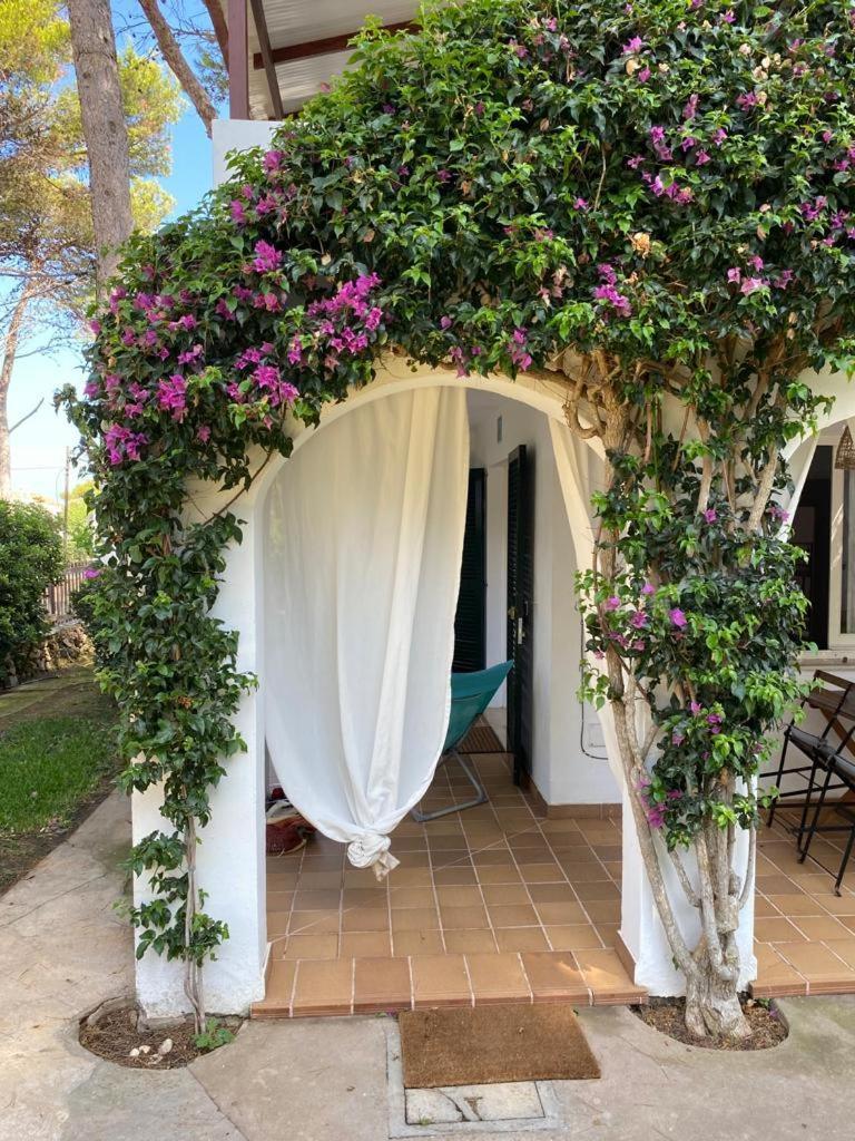 Bellver 1, Ciutadella-Cala Blanca Cala Blanca  Pokoj fotografie